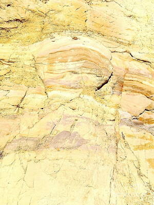 Stone Cold - Dinosaur Ridge 3 by Chad Vidas