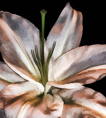 Desert Plants - Dirty White Lily 3 by Margaux Dreamaginations