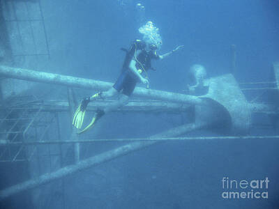 Wine Down Rights Managed Images - Diving on a wreck Royalty-Free Image by Patricia Hofmeester