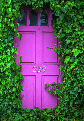 Royalty-Free and Rights-Managed Images - Door 229 by Darren White