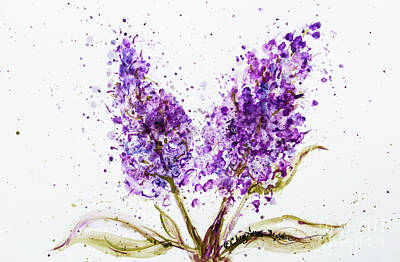 Grateful Dead Royalty Free Images - Double Purple Lilac Blossoms watercolor  Royalty-Free Image by CheyAnne Sexton
