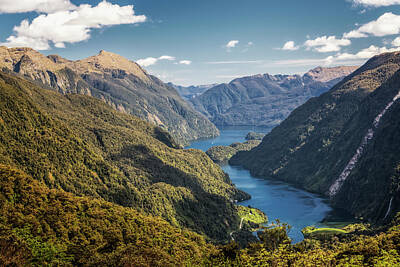 Green Grass - Doubtful Sound New Zealand from Wilmot Pass by Joan Carroll