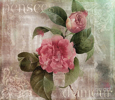 Roses Royalty-Free and Rights-Managed Images - Douces Pensees Pink Roses by Mindy Sommers