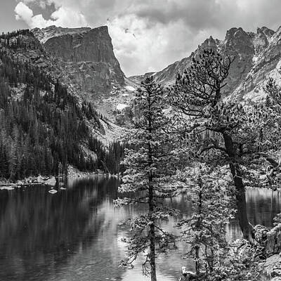 Landscapes Photos - Dream Lake and Hallet Peak - Colorado Mountain Landsdcape Monochrome - Square Format by Gregory Ballos