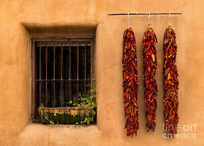 Route 66 Royalty Free Images - Dried Chilis and Window Royalty-Free Image by Jerry Fornarotto