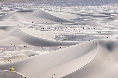 Chinese New Year - Dumont Dunes 17 by Jim Thompson