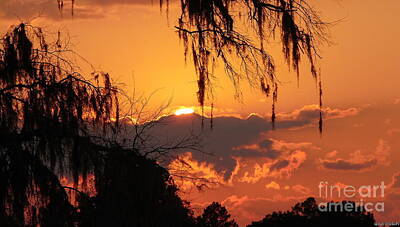 Ingredients Rights Managed Images - Dusk in Florida Royalty-Free Image by Gina Welch
