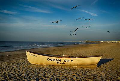 Birds Royalty Free Images - Early Morning Ocean City NJ Royalty-Free Image by James DeFazio