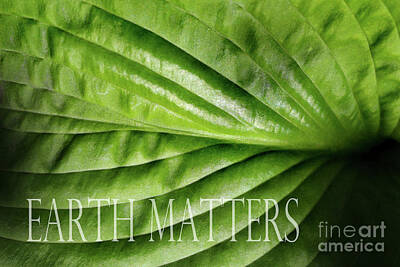Grateful Dead Royalty Free Images - Earth Matters Leaf Royalty-Free Image by Karen Adams
