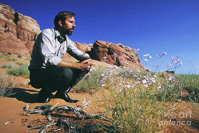 Portraits Photos - Edward Abbey, author of Desert Solitaire, 1969 by The Harrington Collection