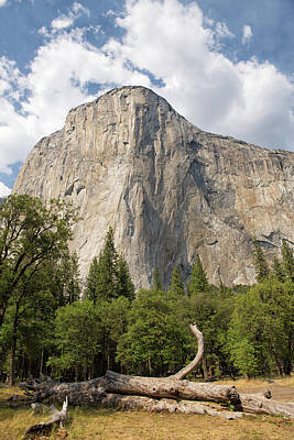 From The Kitchen - El Capitan - Yosemite National Park - California by Bruce Friedman