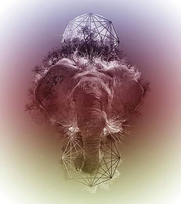 Animals Digital Art - Elephant 3 by Bekim M