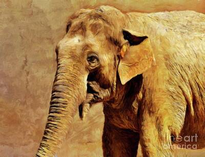 Animals Paintings - Elephant by Esoterica Art Agency