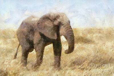Animals Paintings - Elephant Wild by Esoterica Art Agency