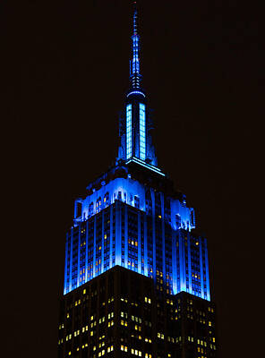 For The Cat Person - Empire State Building by James Nalesnik