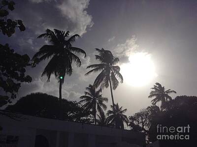 Nba Photos - End Of The Day In The Islands by Gina Sullivan