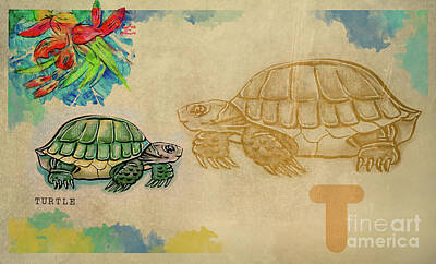 Reptiles Drawings Royalty Free Images - English alphabet , Turtle  Royalty-Free Image by Ariadna De Raadt