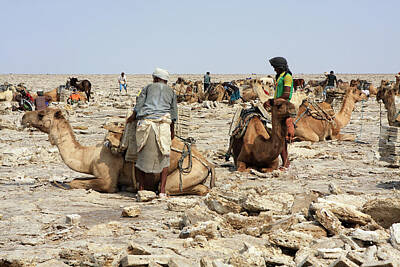 World Forgotten - Ethiopian Salt Flats by Aidan Moran