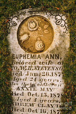 Abtracts Laura Leinsvencner - Euphemia by Lionel F Stevenson