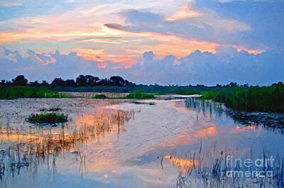 Tammy Lee Bradley Royalty-Free and Rights-Managed Images - Evening in the Marsh by Tammy Lee Bradley