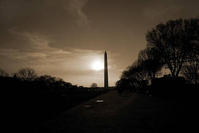 Rustic Cabin - Evening Washington Monument Silhouette by Betsy Knapp