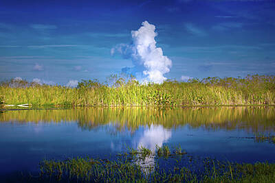 Mark Andrew Thomas Rights Managed Images - Everglades Smoke Royalty-Free Image by Mark Andrew Thomas
