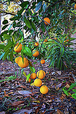 Lets Be Frank - Expressionalism Orange Tree by Aimee L Maher ALM GALLERY