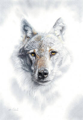 Animals Drawings Royalty Free Images - Fade To Grey Royalty-Free Image by Peter Williams