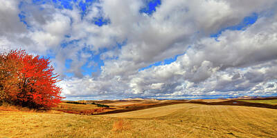 Af Vogue - Fall Color on the Palouse by David Patterson