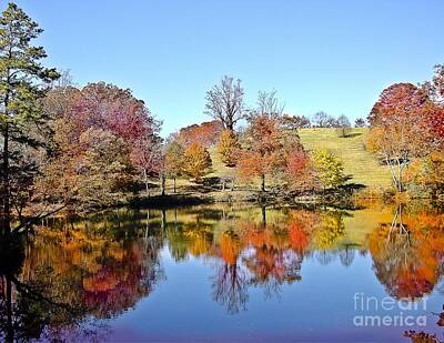 Gary Grayson Pop Art - Fall Foliage N Carolina by Johnnie Stanfield