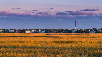 City Scenes - Fall in the Charleston Low Country, SC by Donnie Whitaker