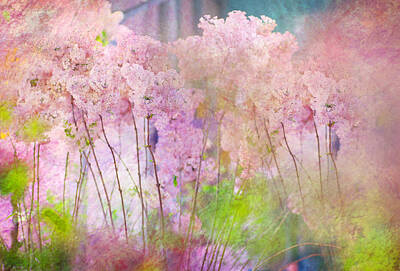 Abstract Flowers Photos - Fantasy Garden of Spring by Jenny Rainbow