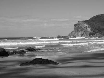 Black And White Beach Royalty Free Images - Far North. New Zealand Royalty-Free Image by Peter Mcclure
