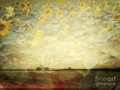 Design Turnpike Books Rights Managed Images - Farm and Sunflowers Double Exposure Royalty-Free Image by Iryna Liveoak