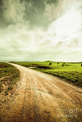 Grace Kelly Rights Managed Images - Farmland lane Royalty-Free Image by Jorgo Photography
