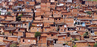 Moody Trees Royalty Free Images - Favelas de Salvador Royalty-Free Image by Jorge Berlato
