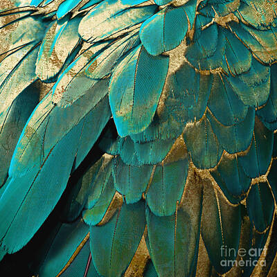 Royalty-Free and Rights-Managed Images - Feather Glitter Turquoise by Mindy Sommers