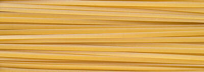 Still Life Royalty-Free and Rights-Managed Images - Fettuccine Pasta by Steve Gadomski