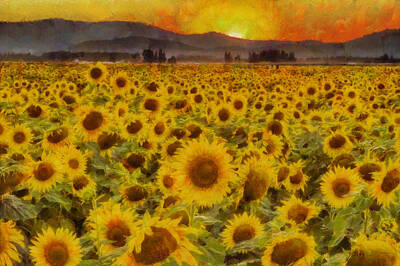 Sunflowers Royalty-Free and Rights-Managed Images - Field of Sunflowers by Mark Kiver