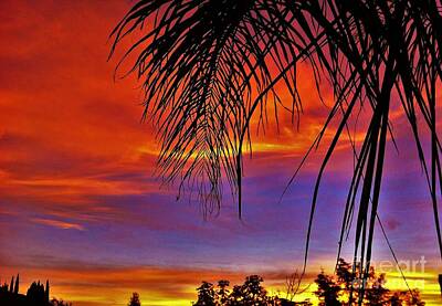 Boho Christmas - Fiery Sunset with Palm Tree by Flo DiBona