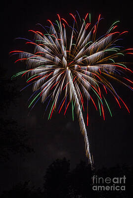 Madonna Rights Managed Images - Fireworks Flower Royalty-Free Image by Joann Long