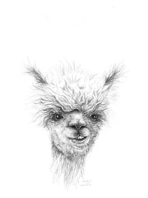 Mammals Drawings - Fischer by Kristin Llamas
