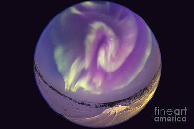 Animals Photos - Fish-eye Lens View Of An Aurora by Alan Dyer