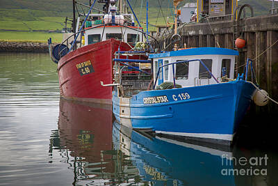 Sultry Plants Rights Managed Images - Fishing Boats Dingle Ireland Royalty-Free Image by Brian Jannsen