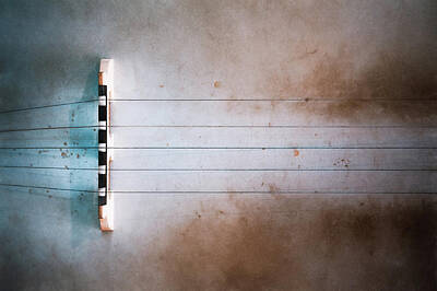 Royalty-Free and Rights-Managed Images - Five String Banjo by Scott Norris