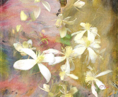 Recently Sold - Lilies Digital Art - Floating Petals by Colleen Taylor