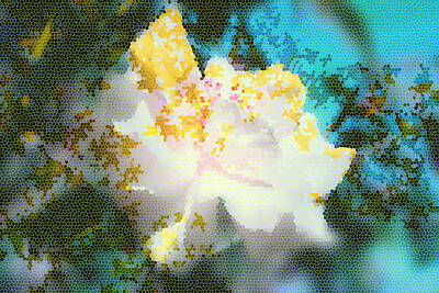 Florals Digital Art - Floral abstract 2 by Irina Effa