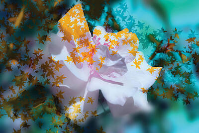 Florals Digital Art - Floral abstract 3 by Irina Effa