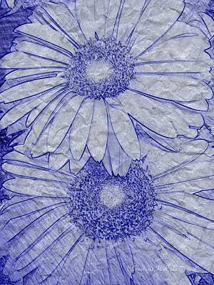 Black And White Line Drawings - Floral Blue Gerbera Daisies 6 by Christine McCole