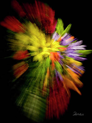 Floral Photos - Floral Explosion by Frederic A Reinecke